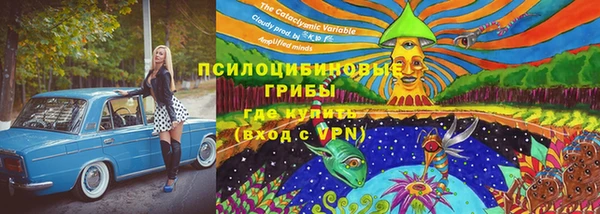 экстази Алексин