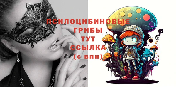 стафф Алексеевка